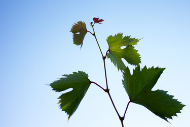 Similar image 2905288