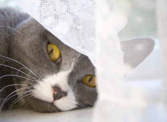 Similar image 2905326