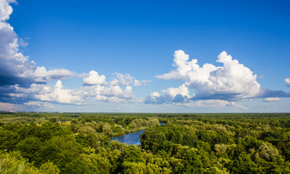 Similar image 2905339