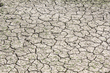 Similar image 2905341