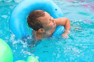 Similar image 2905379