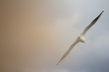 Similar image 2905381