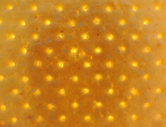 Similar image 2905388