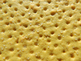 Similar image 2905391