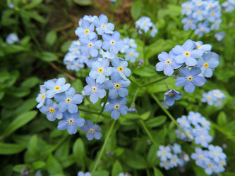 Similar image 2905394