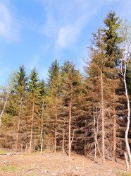 Similar image 2905408