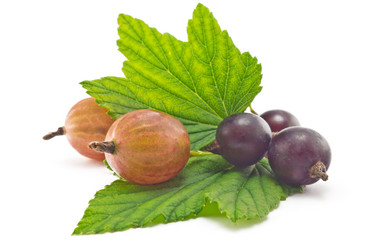 Similar image 2905409