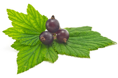 Similar image 2905410