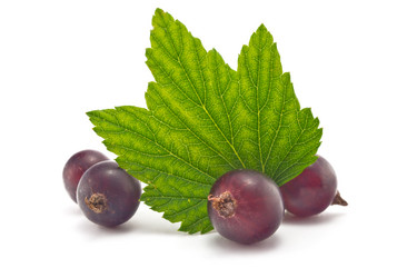 Similar image 2905412