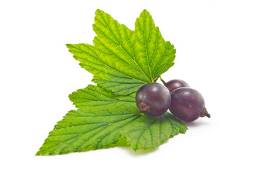 Similar image 2905413