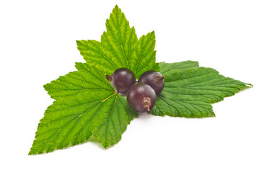 Similar image 2905414