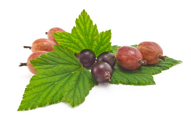 Similar image 2905416