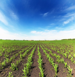 Similar image 2905517