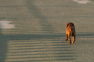 Similar image 2905554