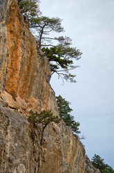 Similar image 2905577