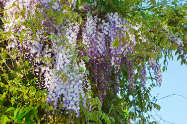 Similar image 2905585