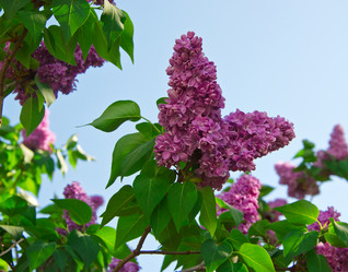 Similar image 2905588