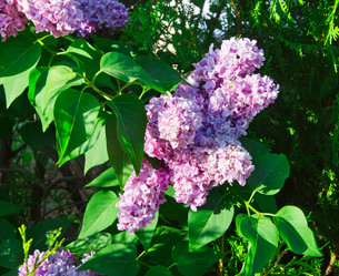 Similar image 2905590