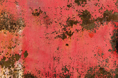 Similar image 2905614