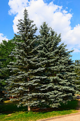 Similar image 2905641