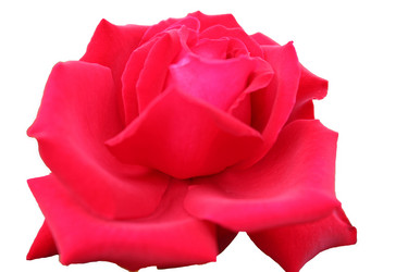 Similar image 2905738