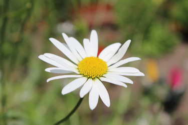 Similar image 2905739