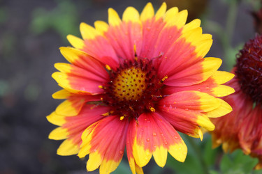 Similar image 2905741