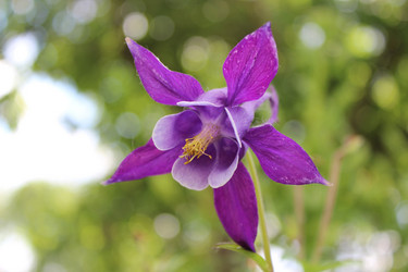 Similar image 2905742