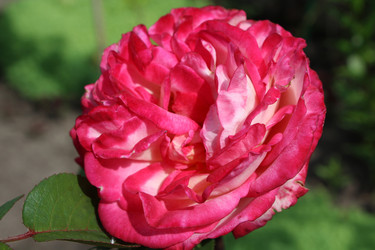 Similar image 2905745