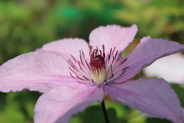 Similar image 2905747