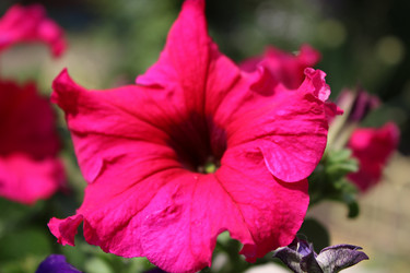 Similar image 2905749