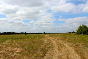 Similar image 2905788