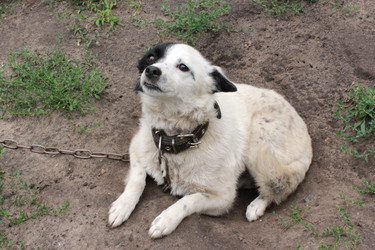 Similar image 2905789