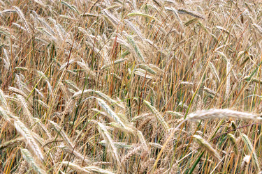 Similar image 2905792