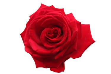 Similar image 2905824