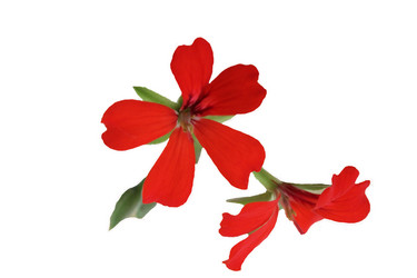 Similar image 2905826