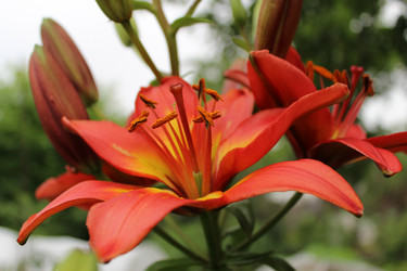 Similar image 2905827