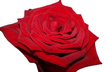 Similar image 2905829