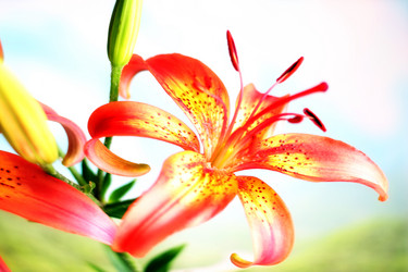 Similar image 2906020