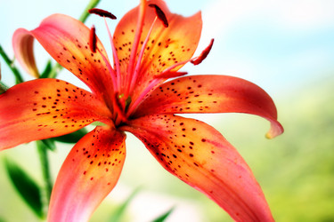 Similar image 2906023