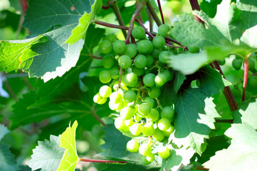 Similar image 2906044