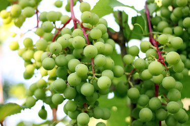 Similar image 2906052