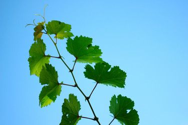 Similar image 2906054