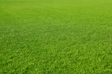 Similar image 2906055