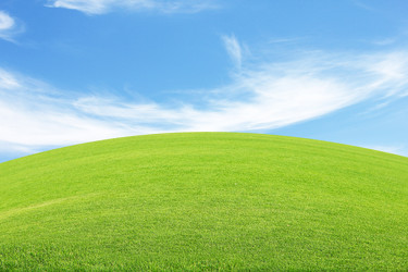 Similar image 2906058