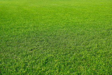 Similar image 2906066