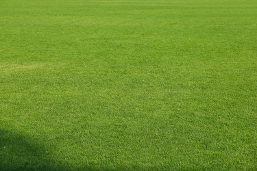 Similar image 2906068