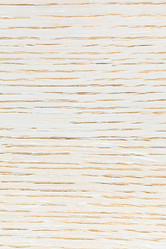 Similar image 2906097