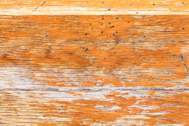 Similar image 2906101