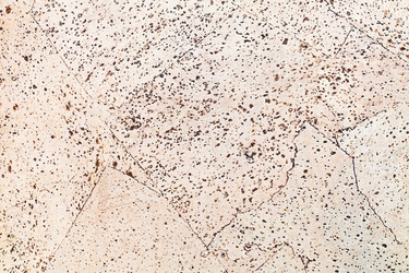 Similar image 2906126